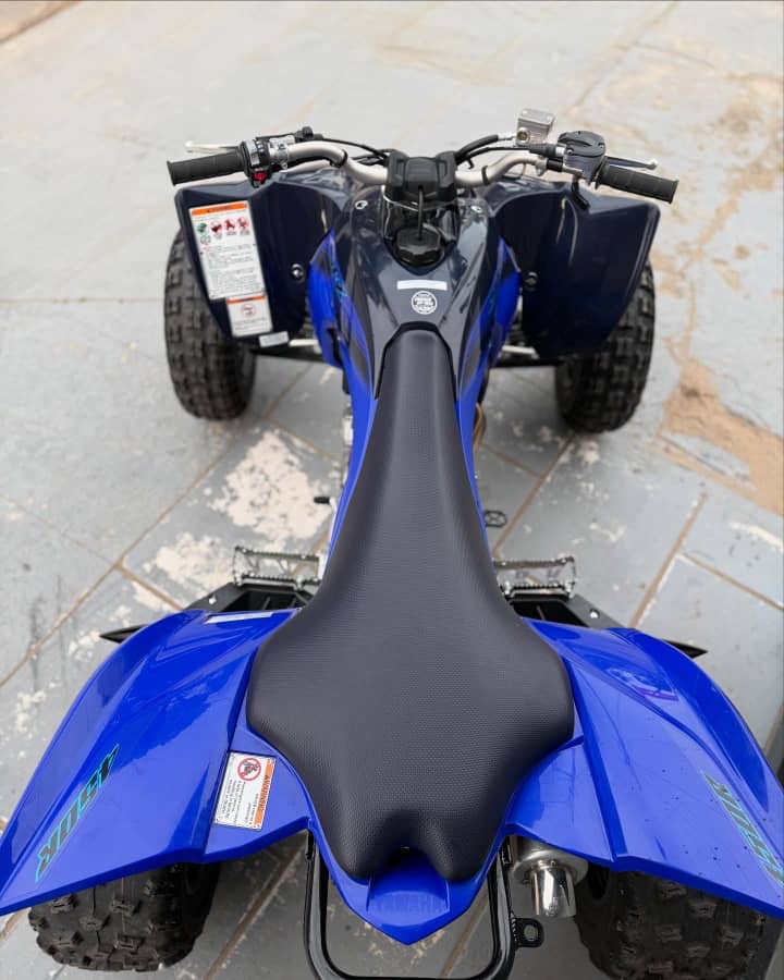 Yamaha 450R - Image 6